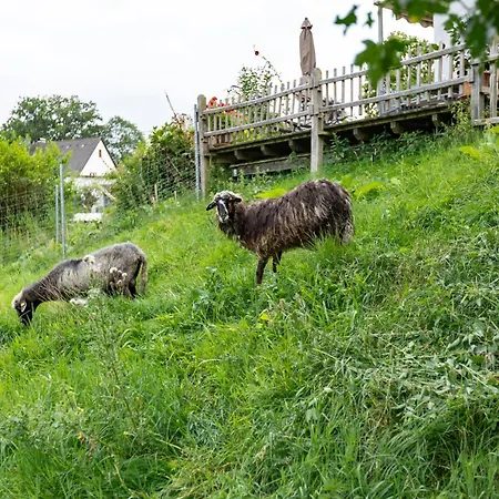 Am Quellental Meinerzhagen