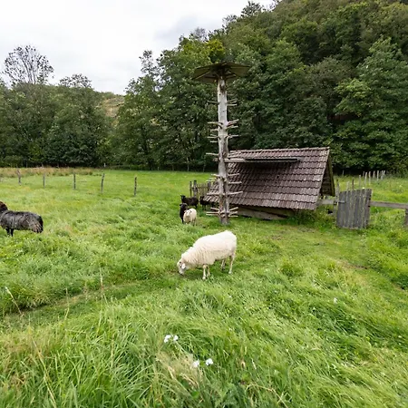 Appartamento Am Quellental